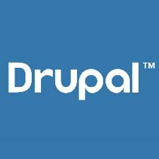 Drupal udvikler